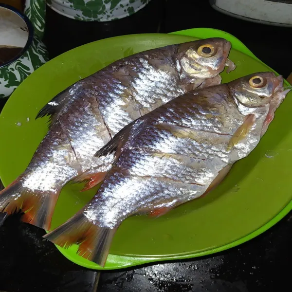 Bersihkan ikan, sayat bagian badannya. Lalu bubuhi dengan garam.