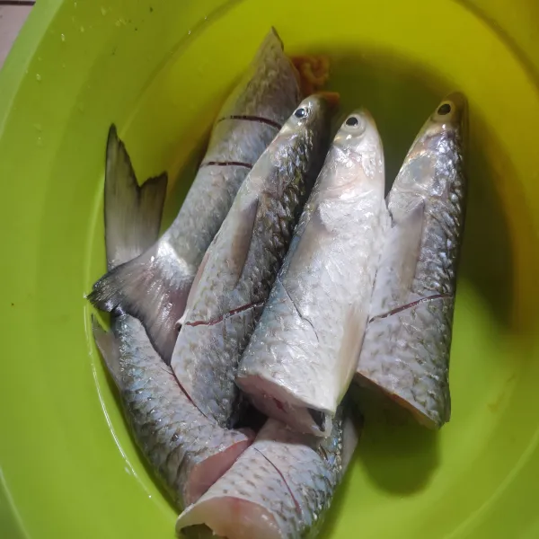 Bersihkan ikan, buang isi perutnya lalu potong sesuai selera.