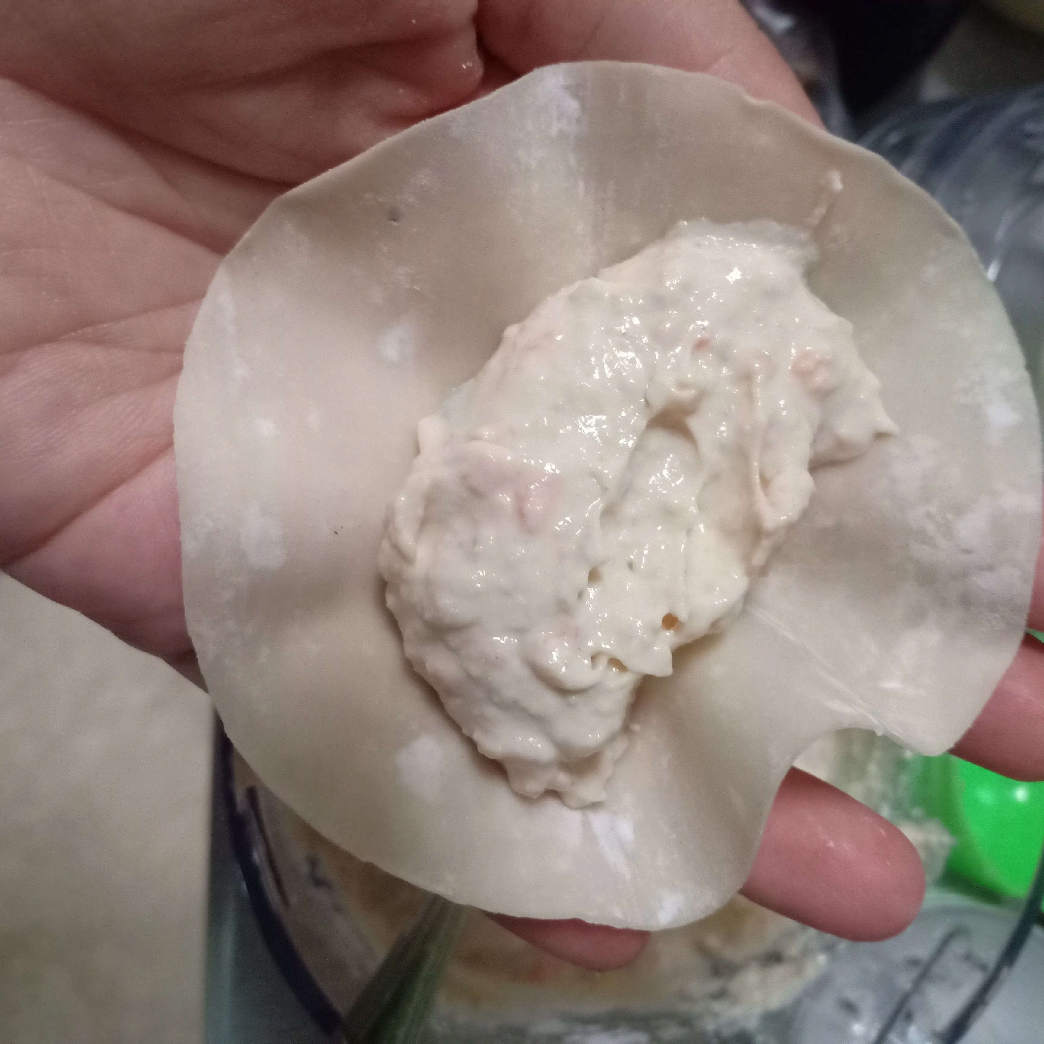 Step 4 Dimsum Rendah Kalori
