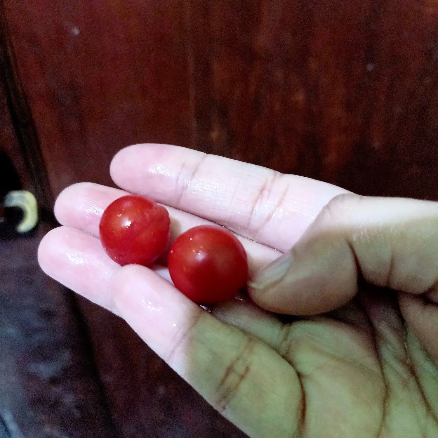 Step 1 Karedok Lada Harum Daun Kemangi