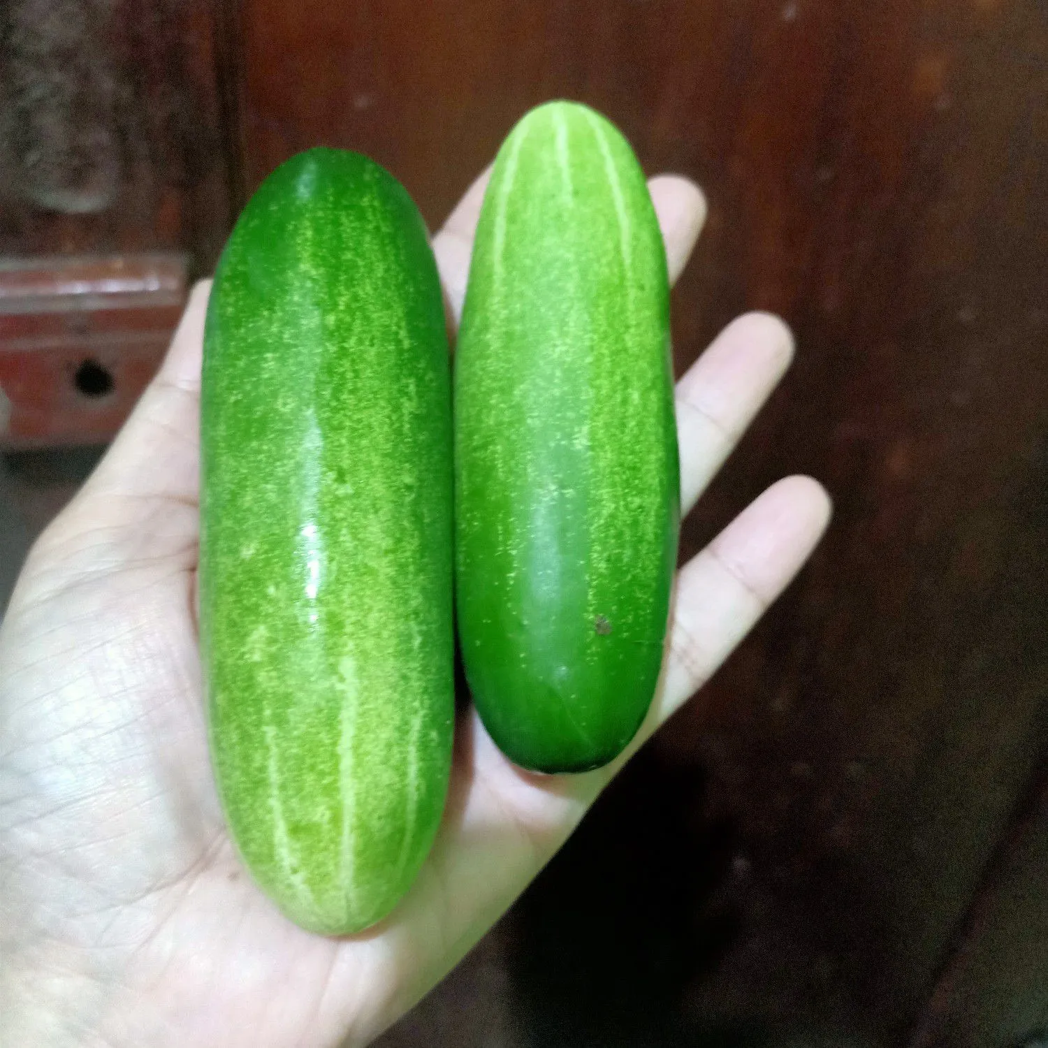 Step 6 Karedok Seuhah Khas Sunda