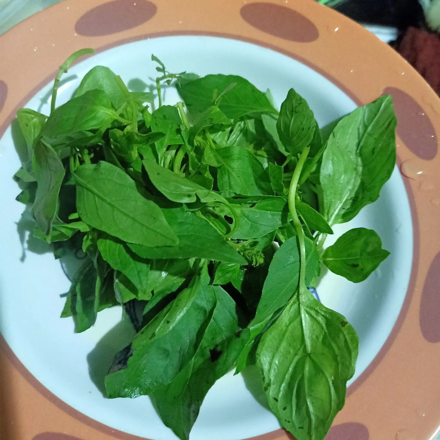 Step 8 Karedok Lada Harum Daun Kemangi