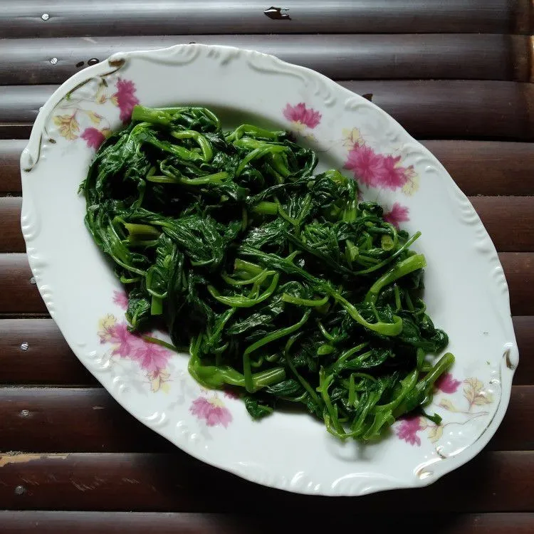 Step 3 Plecing Kangkung
