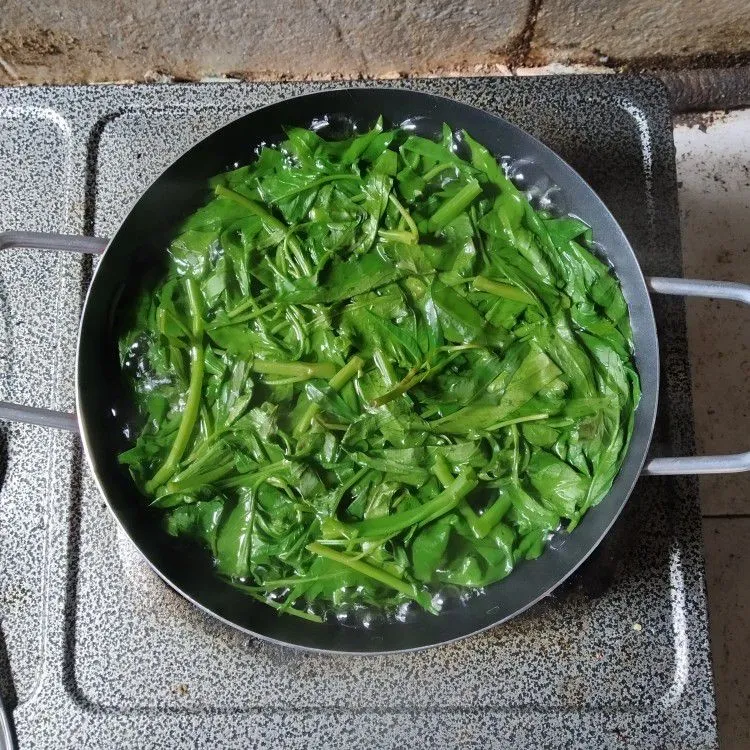 Step 2 Plecing Kangkung