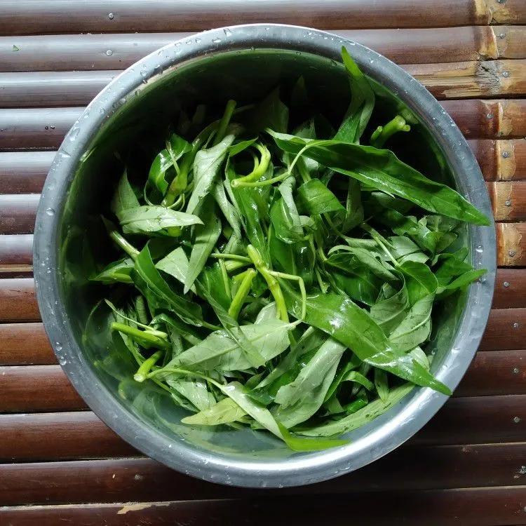 Step 1 Plecing Kangkung