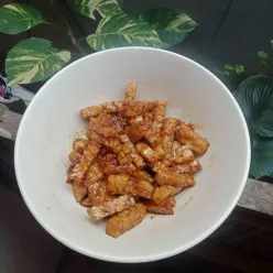 Tempe Kecap