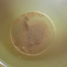 Larutkan ragi dan gula pasir di air hangat, aduk lalu biarkan hingga berbuih atau berbusa. Lalu tambahkan garam dan minyak, aduk rata.