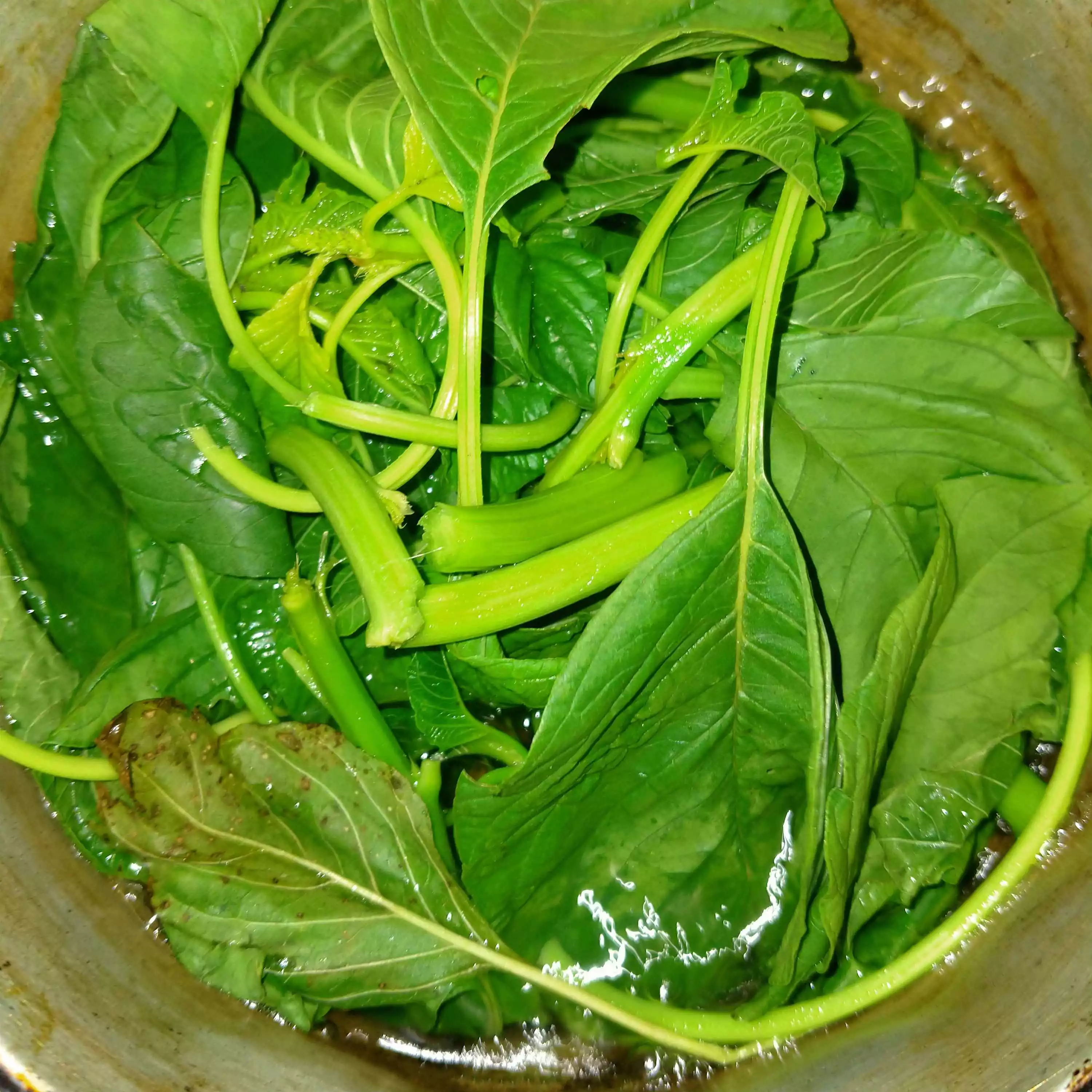 Step 3 Sayur Bening Bayam Kencur