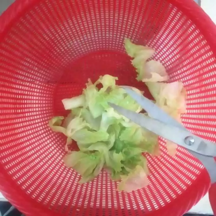 Step 4 Salad Sayur Simpel