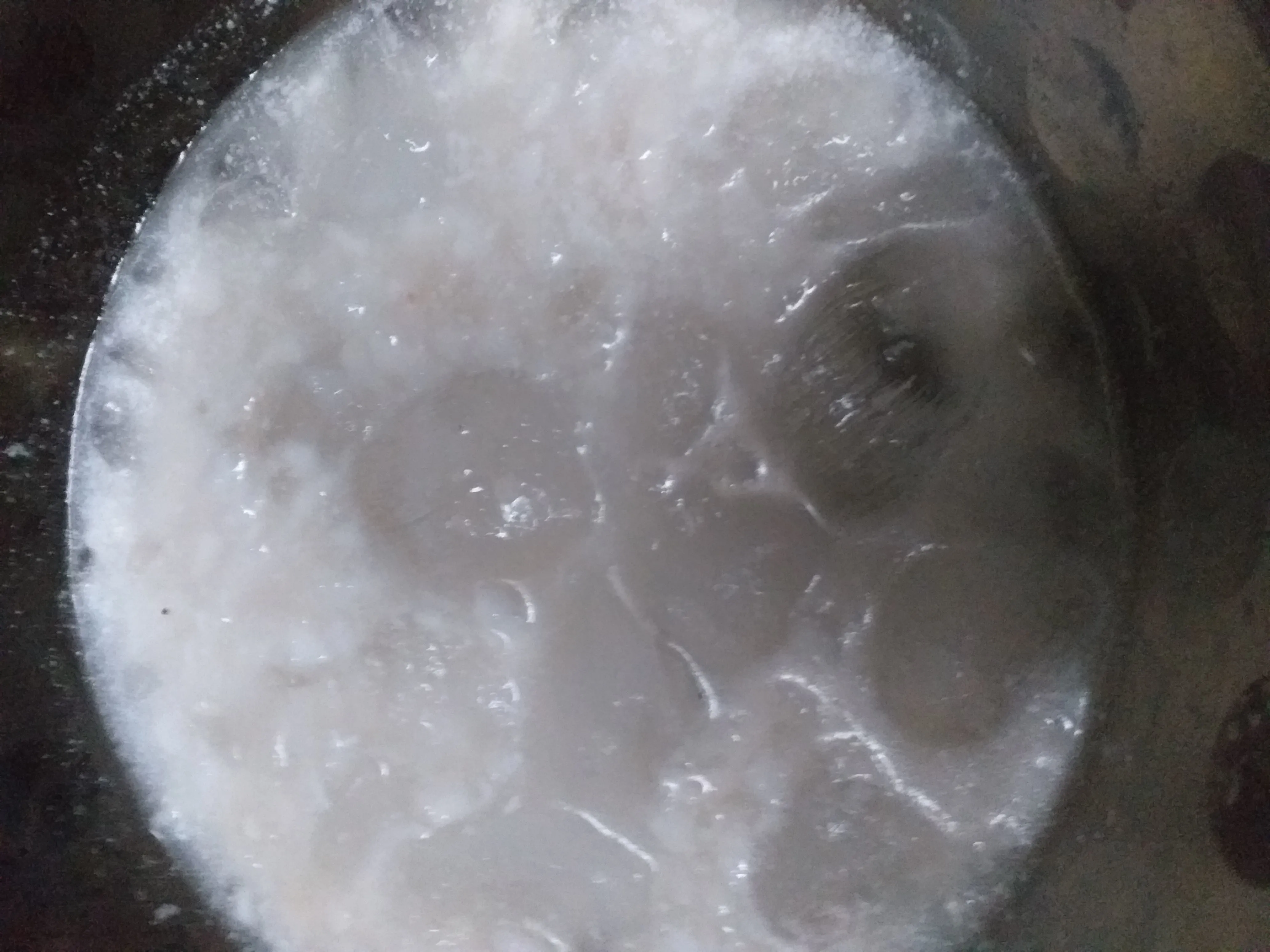 Step 4 ES KOPYOR SWEET MANGO