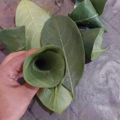 Step 4 Apem Contong #IMYEkstraPoin