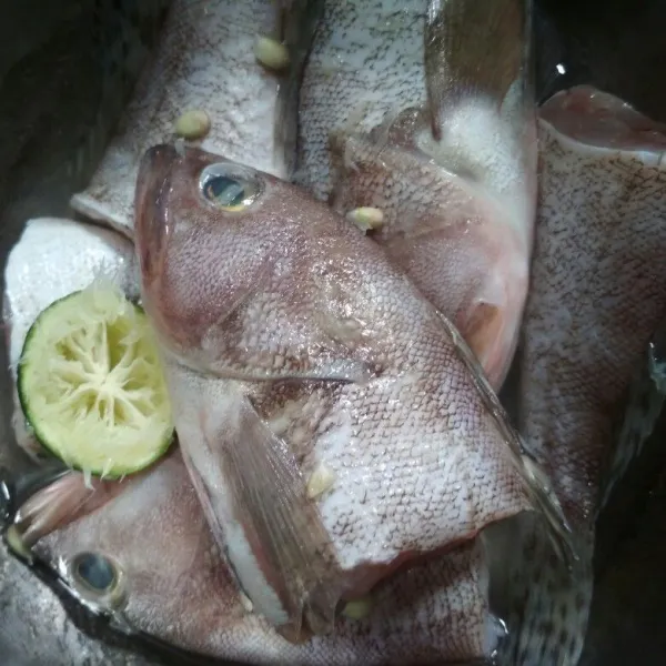 Cuci bersih ikan beri 1/2 perasan air jeruk nipis, diamkan 10 menit