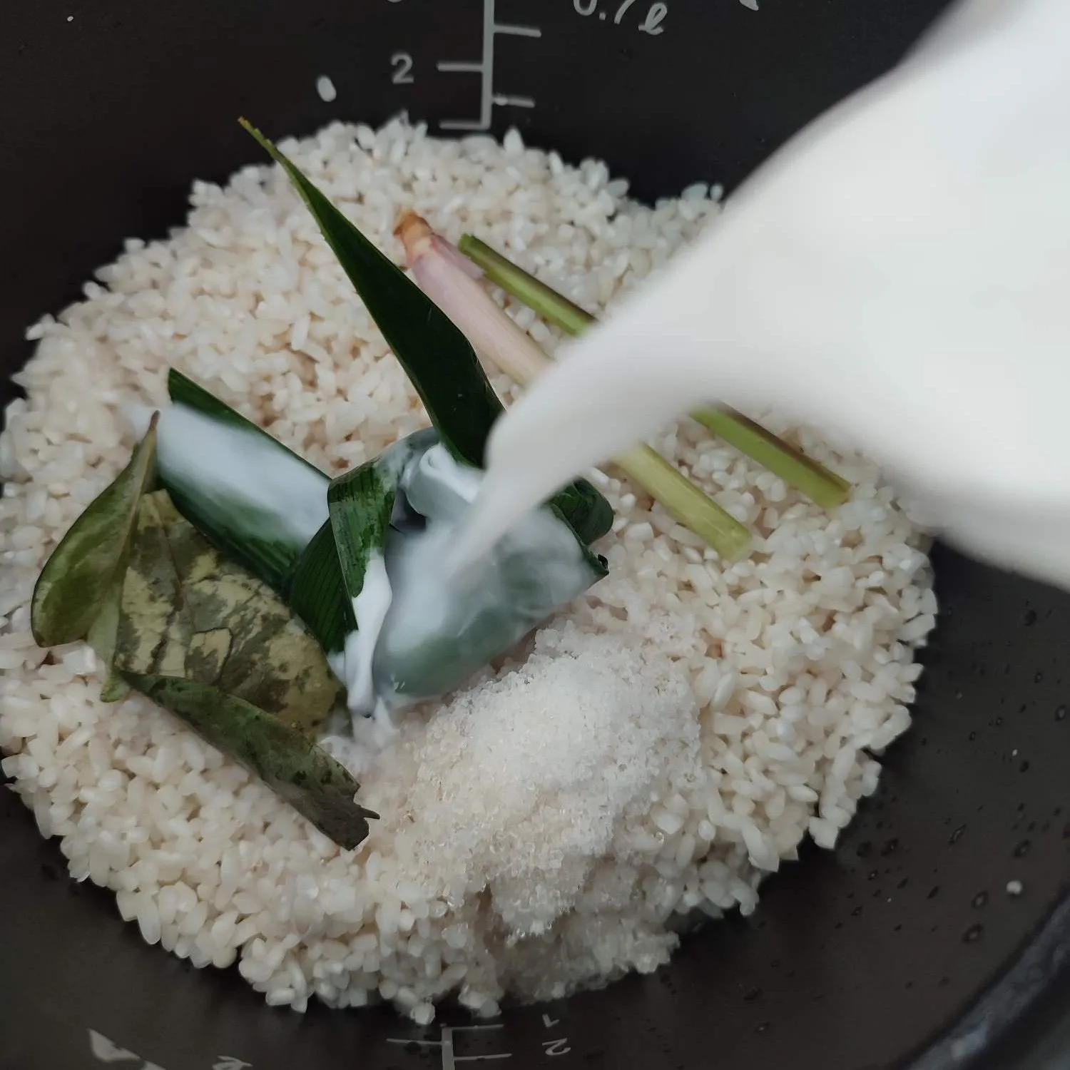 Step 5 Lemper Ayam Magic Com