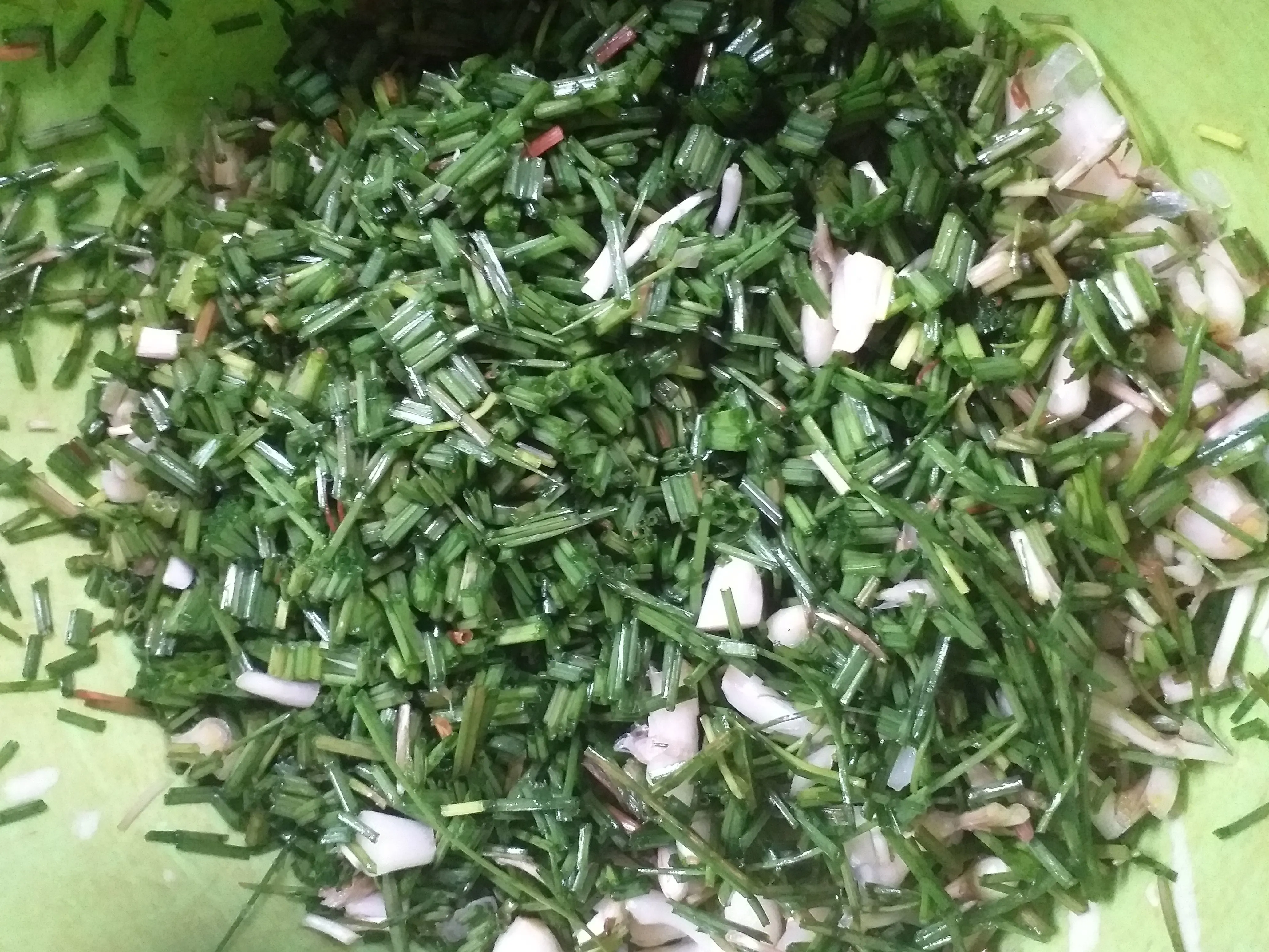 Step 1 BALA - BALA KUNCAR