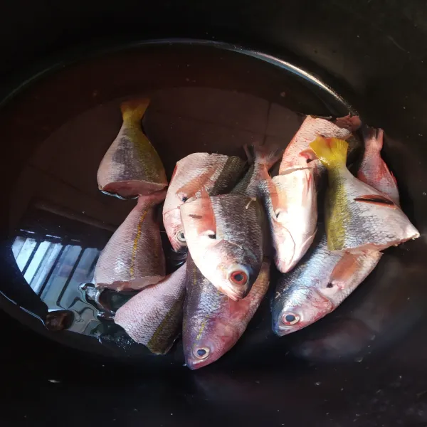 Marinasi ikan dengan jeruk nipis dan garam selama 30 menit.