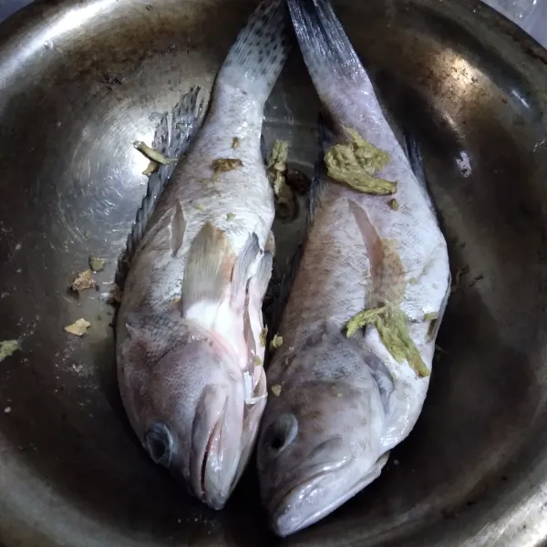 Ikan cuci bersih, lalu marinasi dengan garam dan jahe parut. Diamkan selama 15 menit.