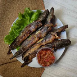 Lele Goreng Sambal Terasi Bawang