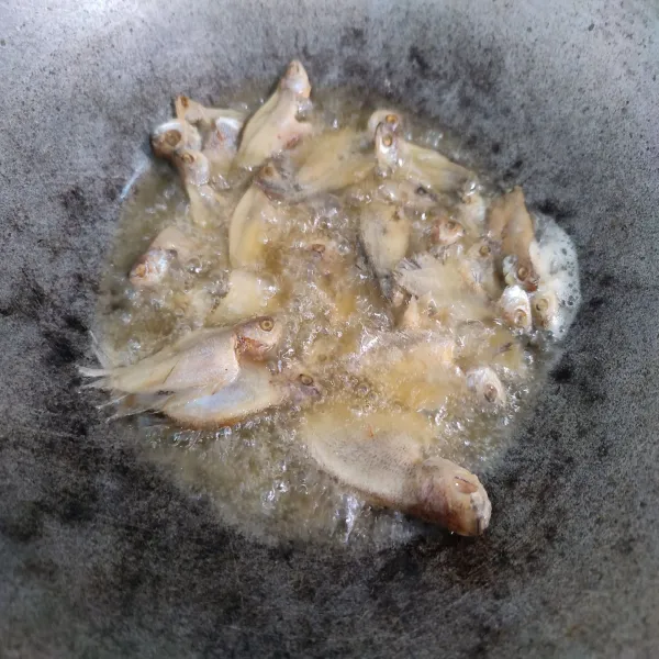 Goreng ikan sapek hingga garing, angkat dan tiriskan.