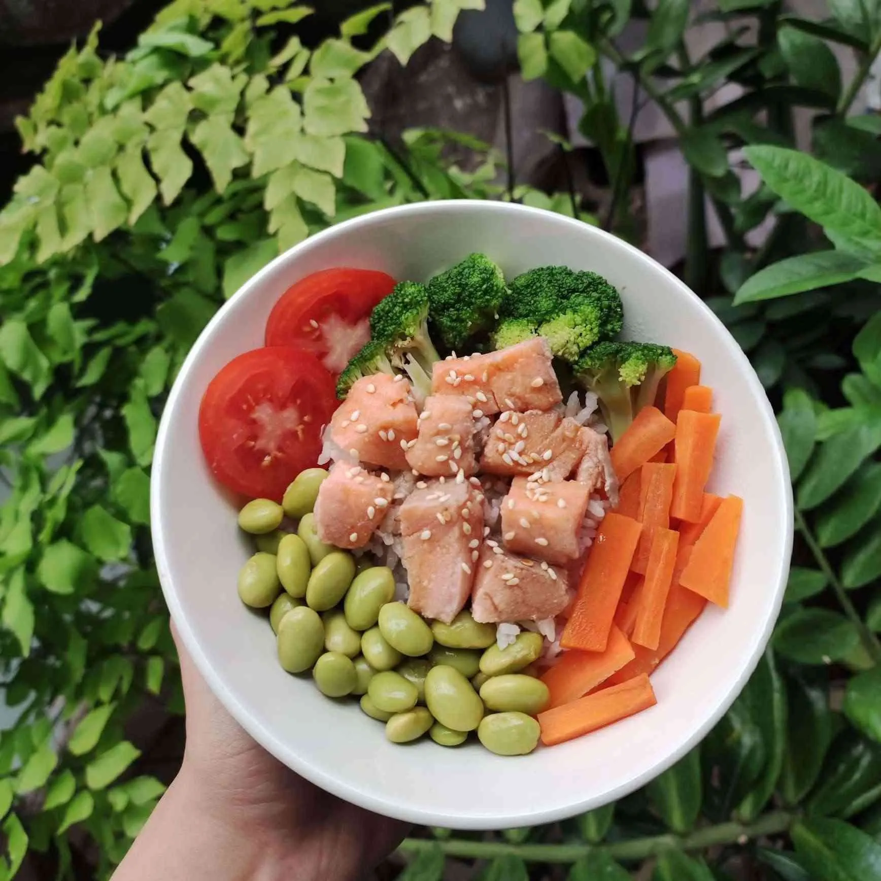 Salmon Poke Bowl