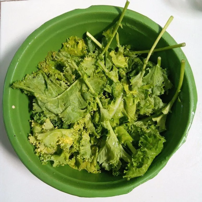 Step 1 Cah Kale Udang