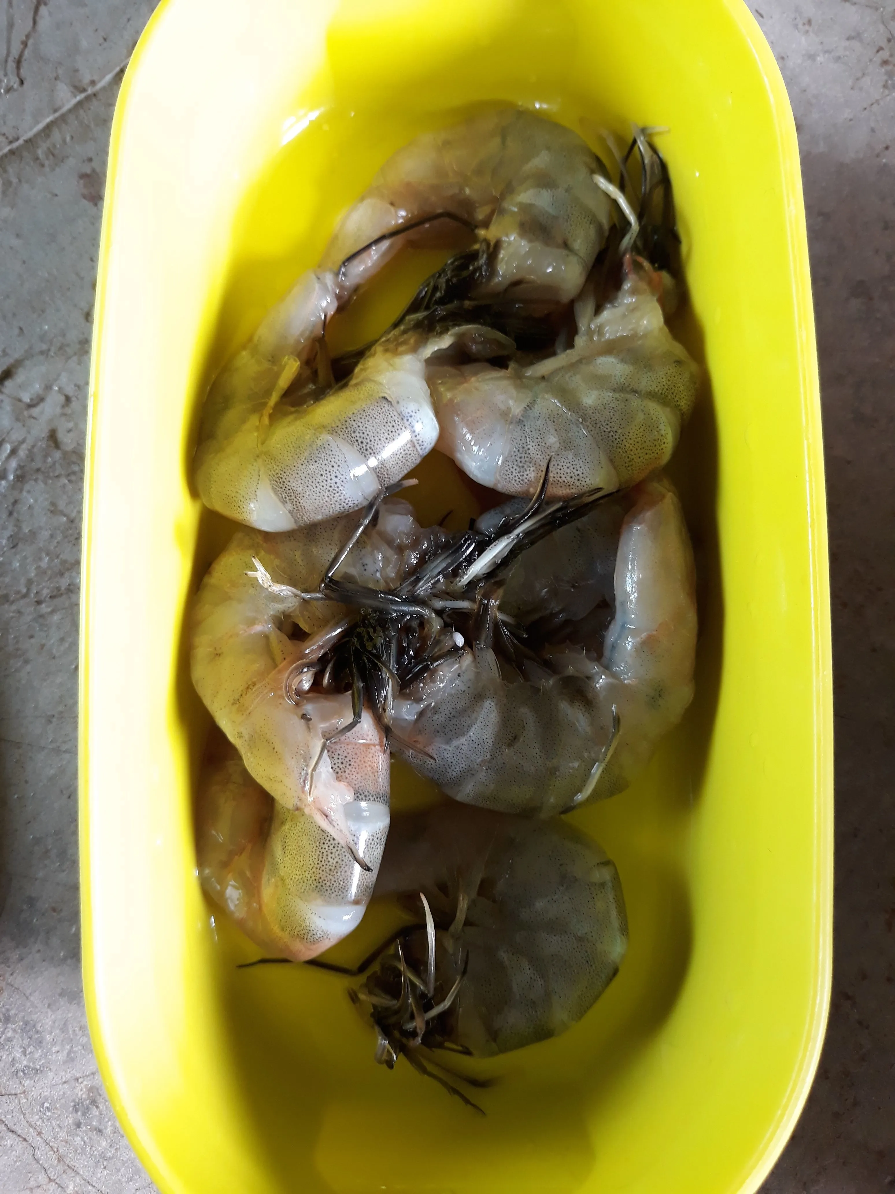 Step 3 Balado Udang Bunga Kates