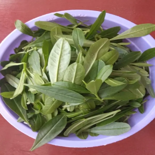 Cuci bersih daun ginseng. Tiriskan.