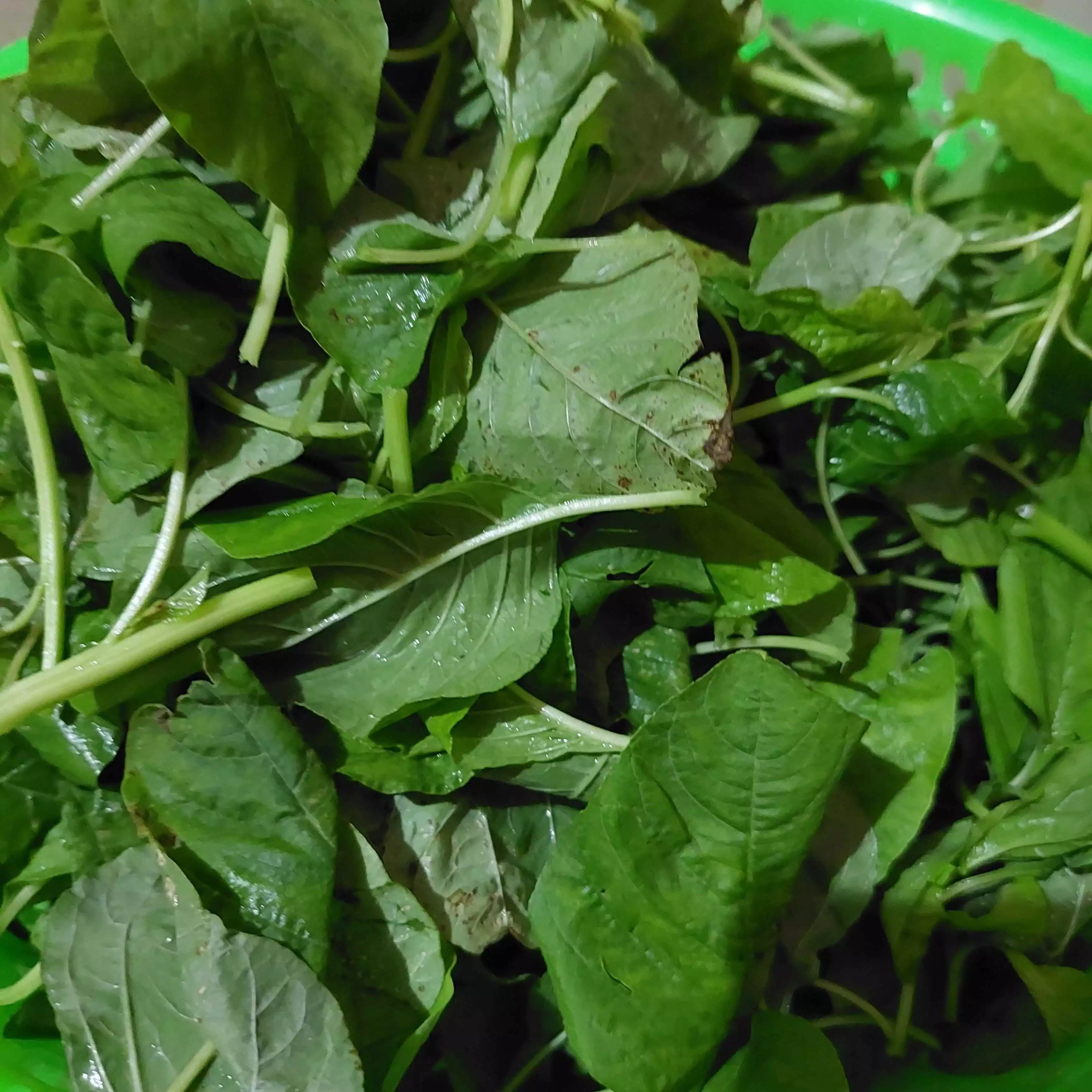 Step 1 Sayur Bayam Kembang Tahu