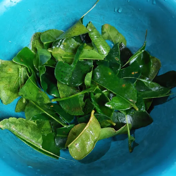 Siapkan daun jeruk yang dirobek-robek.