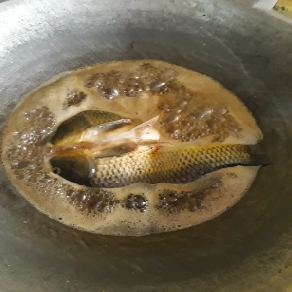 Goreng ikan mas dengan minyak panas sampai matang. Angkat dan tiriskan.
