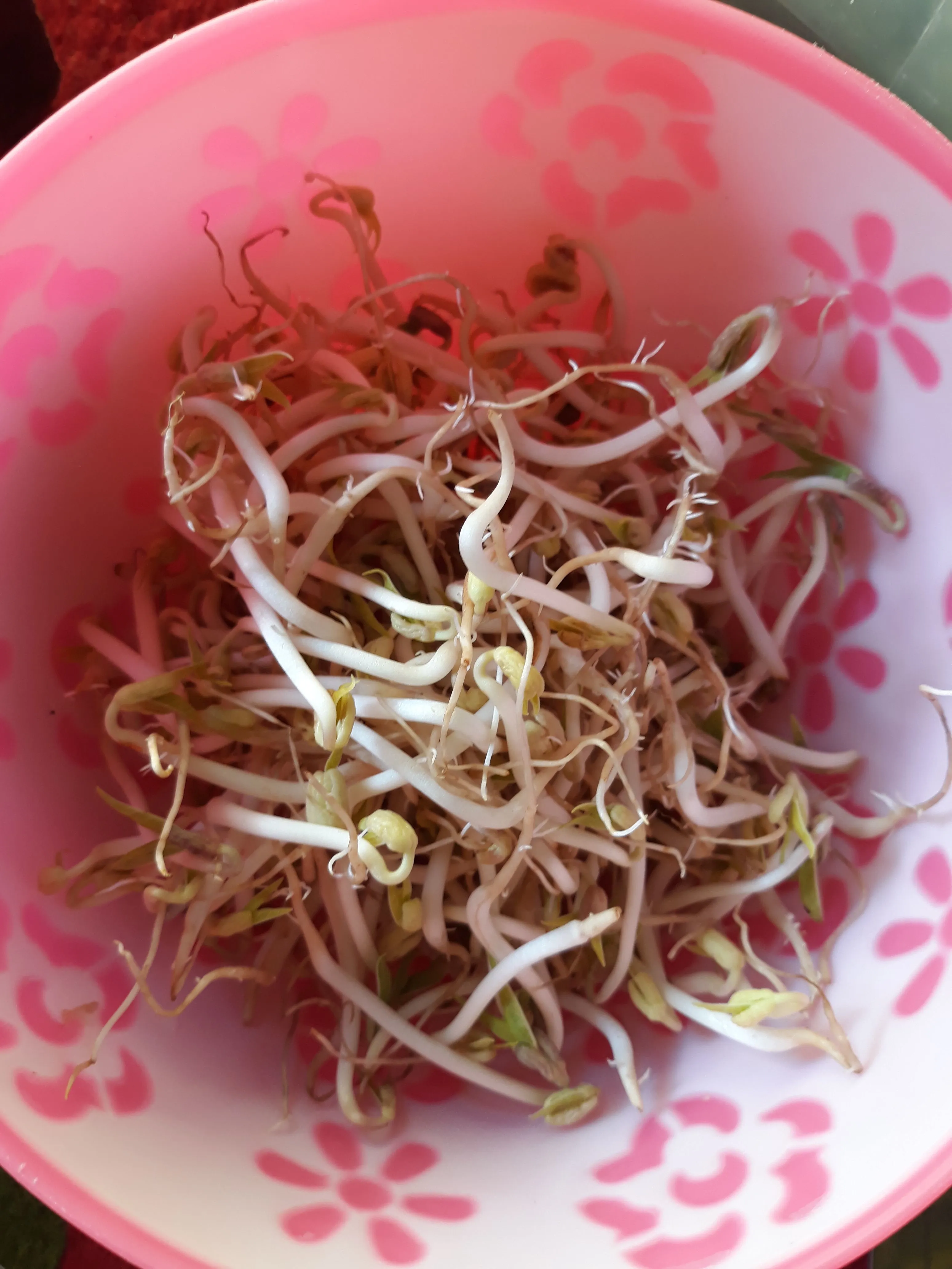 Step 3 Tauge Gambas Kuah Santan