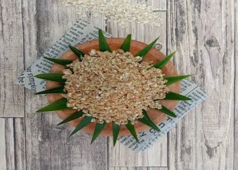 Nasi Oatmeal