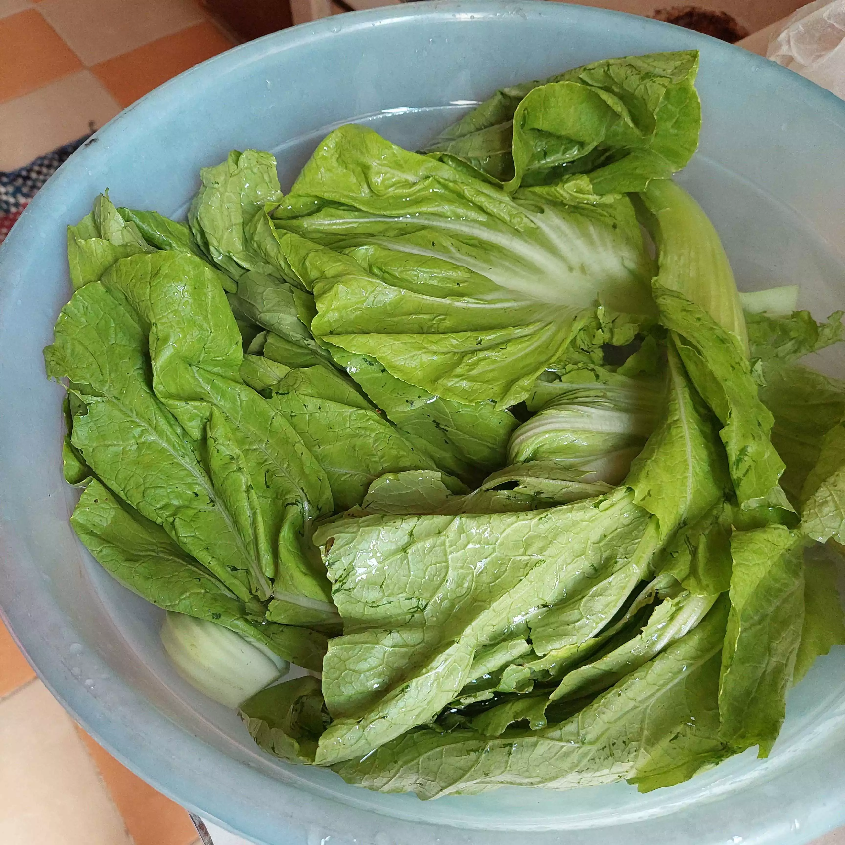 Step 1 Sawi Asin Homemade