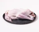 1 ekor ayam kampung