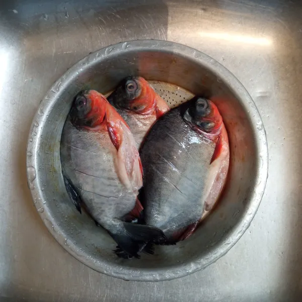 Cuci bersih ikan, lalu kerat-kerat badan ikan, kemudian baluri dengan air jeruk nipis dan garam. Diamkan selama 15 menit, lalu bilas kembali.