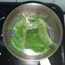Rebus sebentar bayam.
