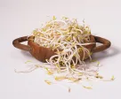 100 gr kecambah, cuci bersih