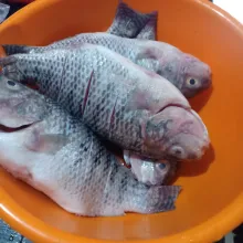 Bersihkan ikan dengan air jeruk nipis, lalu bilas bersih.