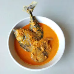 Gulai Ikan Tongkol