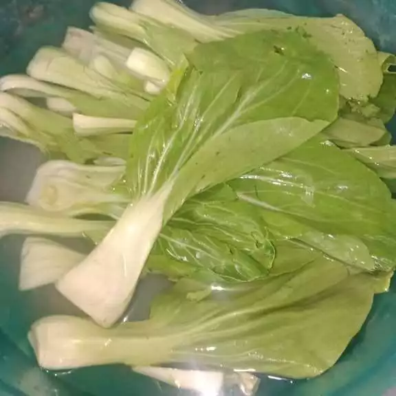 Step 1 Pokcoy Bawang Putih