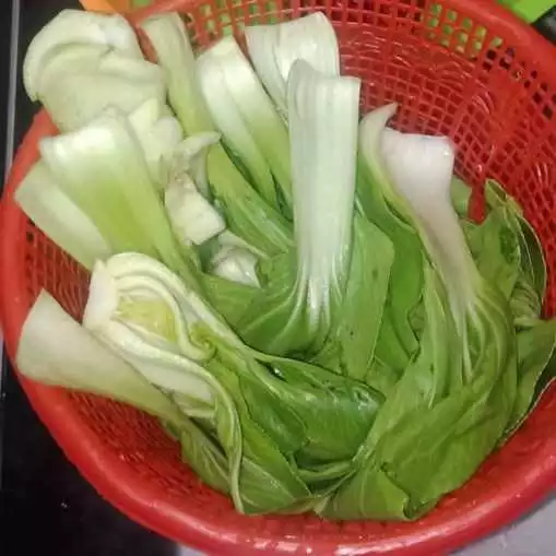 Step 2 Pokcoy Bawang Putih