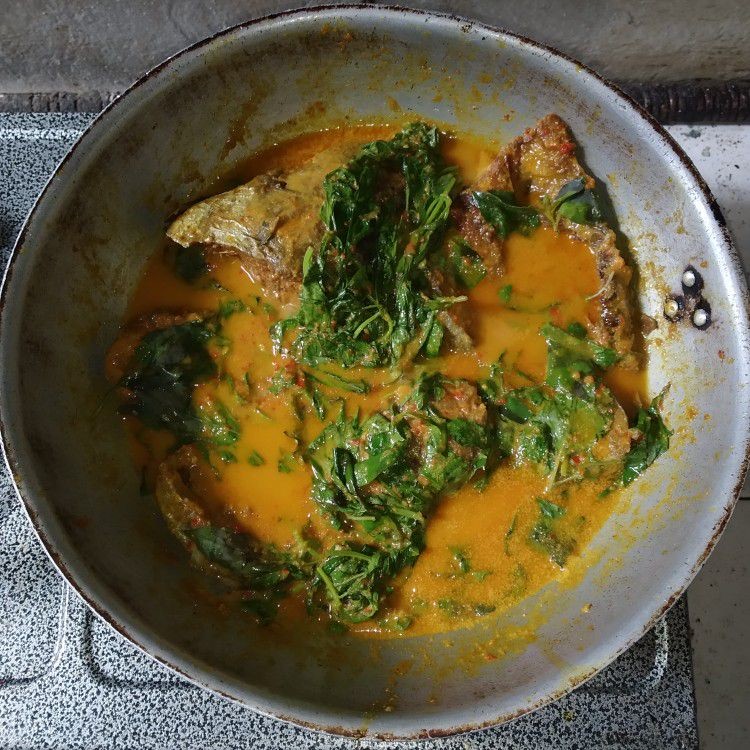 Langkah 9