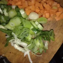 Iris tipis daun bawang.