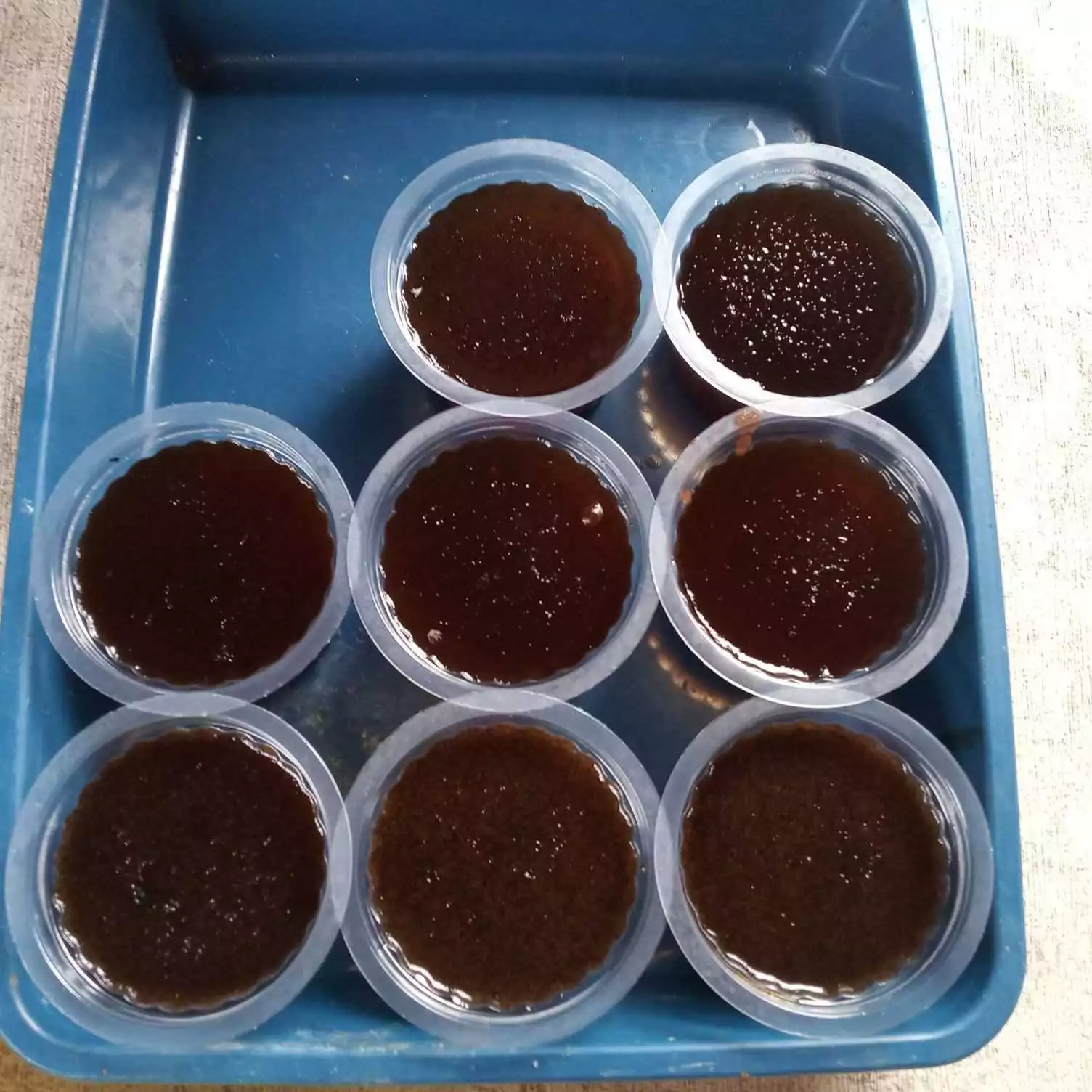 Step 5 Choco Coffee Pudding