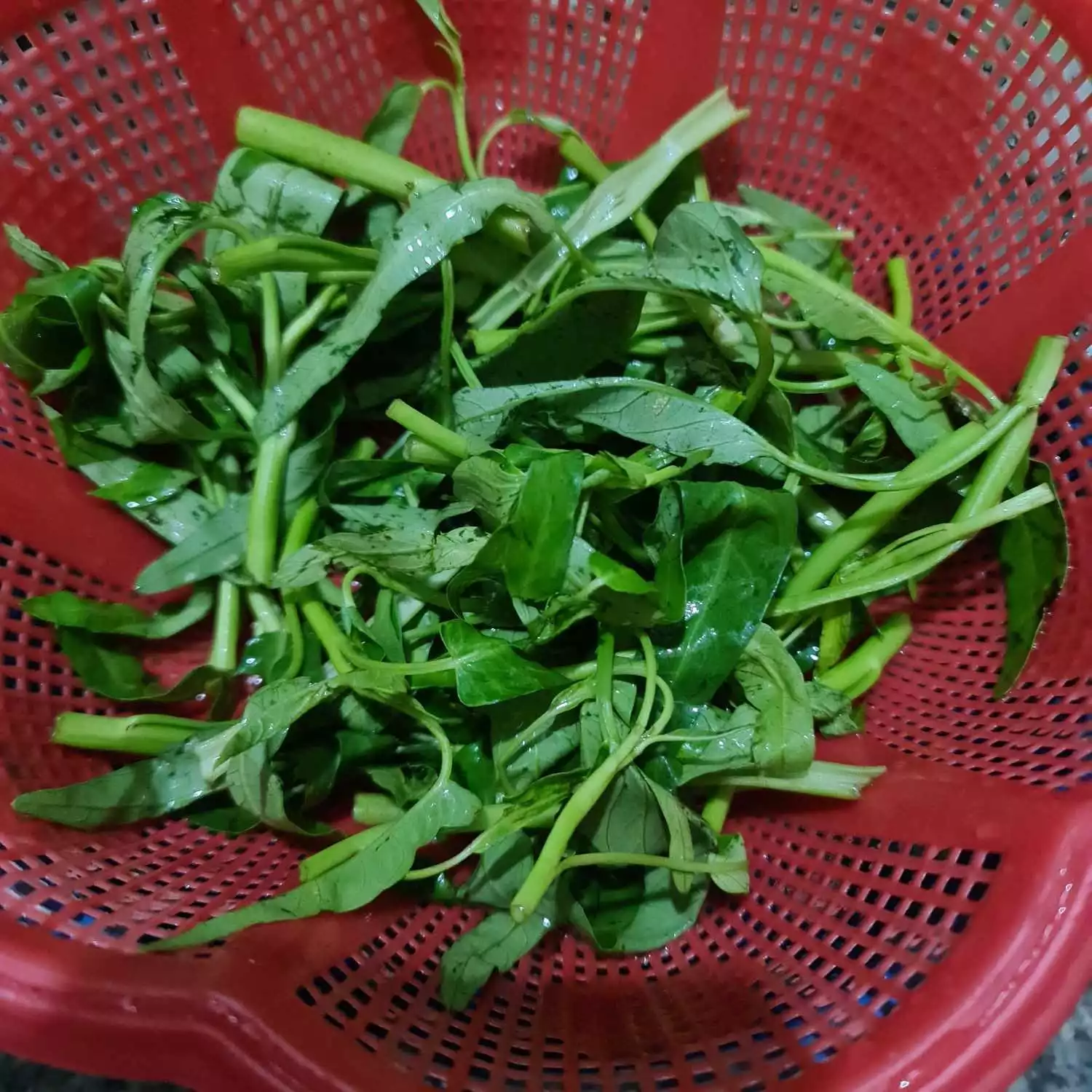 Step 1 Rujak Kangkung