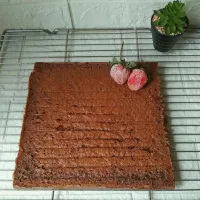 Sponge Cake Chocolate