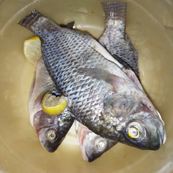 Bersihkan ikan lalu bilas, kemudian beri air pesanan jeruk nipis dan garam, aduk rata, diamkan sekitar 15 menit.