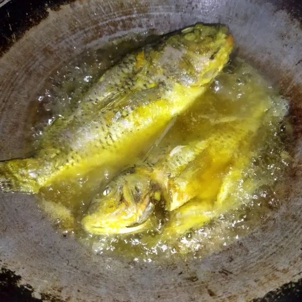 Jika akan digoreng, goreng ikan dalam minyak yang susah panas hingga matang.