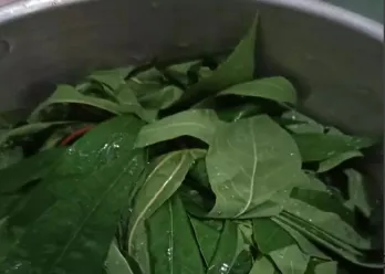 Tips Merebus Daun Singkong #TipsAndalan