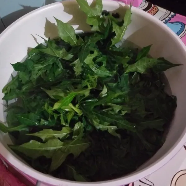 Panaskan air, rebus daun pepaya Jepang yang sudah di cuci hingga layu, kemudian potong-potong.