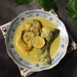 Paliat Ikan Patin